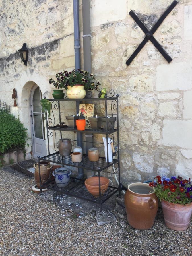 Gite De La Cale De La ClauderieRigny-Ussé エクステリア 写真