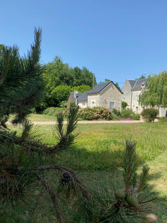 Gite De La Cale De La ClauderieRigny-Ussé エクステリア 写真